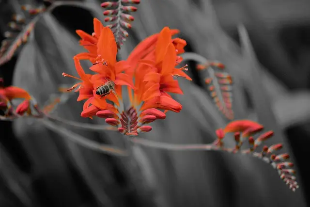 Guide d'achat pour la livraison de fleurs pour événements